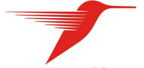 Ревизија Чулева